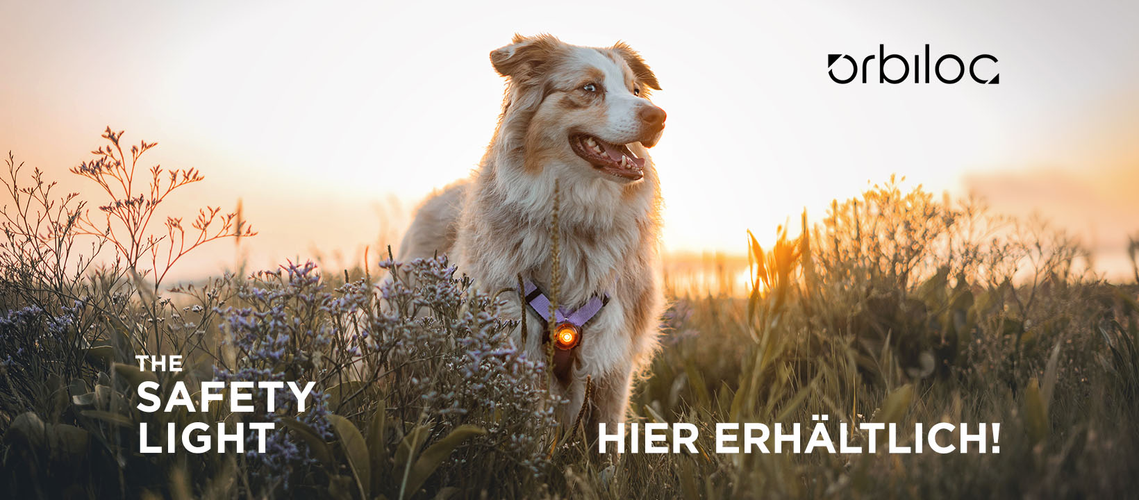 Retailers_FacebookCover_V2_DE
