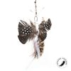 cat-toy-refill-SP195BF-exotic-butterfly-1