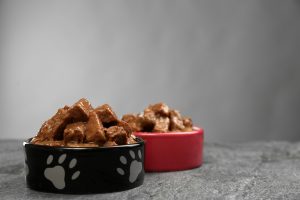 Beratung zu hochwertigem Nassfutter 