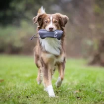 Futter Dummy Walkie – Blau