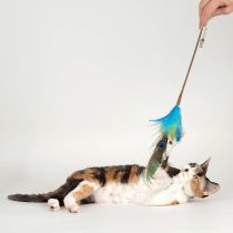 Federwedel Peacock Dancer von Profeline