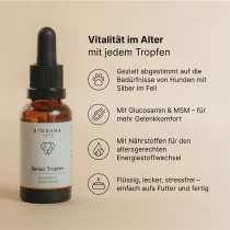 Senior Tropfen von Biogena Pets – 30ml