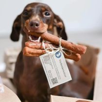 Küstenkracher Käse – Zahnpflegestangen von Baltic Biscuits – 5 Stück