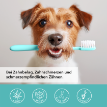 Tamacan Dental Gel inklusive Zahnbürste – 50ml
