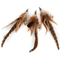 Anhänger für Katzenangel Wild Tiger von Profeline